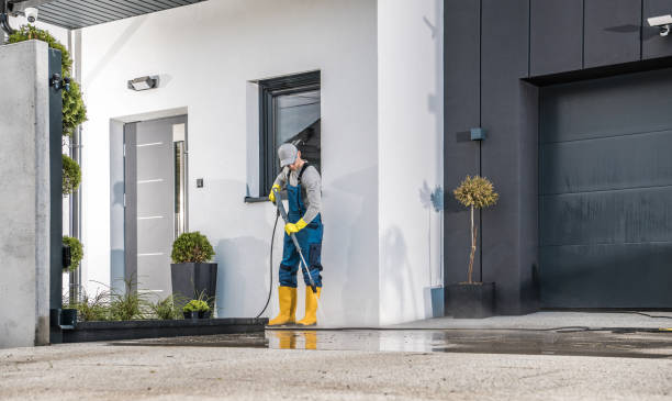 Best Brick and Stone Cleaning in Thruston, KY